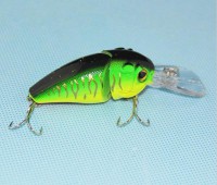 Vobler do plytkej vody